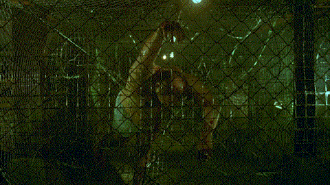 A man in a cage full of razor wire. He is hanging off his own weight, and the wire cut so deep the police found stomach acid on the floor.